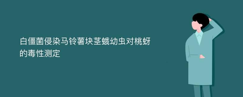 白僵菌侵染马铃薯块茎蛾幼虫对桃蚜的毒性测定