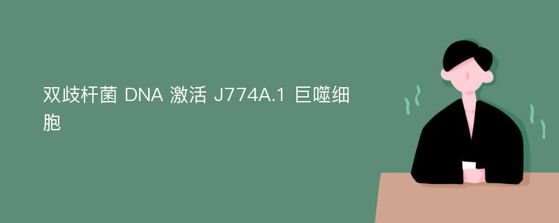 双歧杆菌 DNA 激活 J774A.1 巨噬细胞