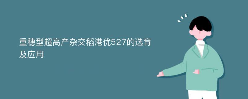 重穗型超高产杂交稻港优527的选育及应用